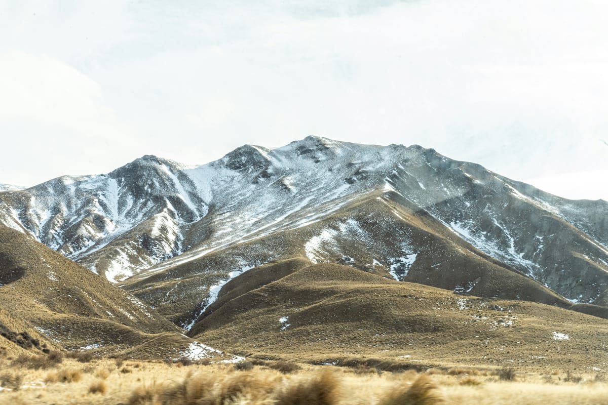 How to choose your first rifle for NZ deer hunting